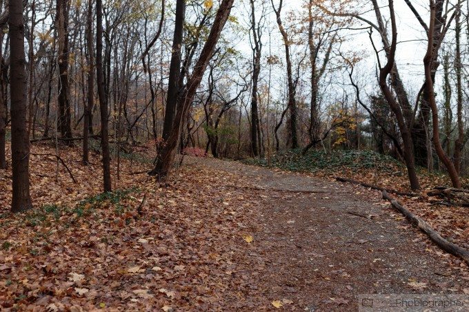 Chris Gampat The Phoblographer Canon 35mm f1.4 L USM II first impressions sample photos (7 of 25)ISO 2001-200 sec at f - 2.8