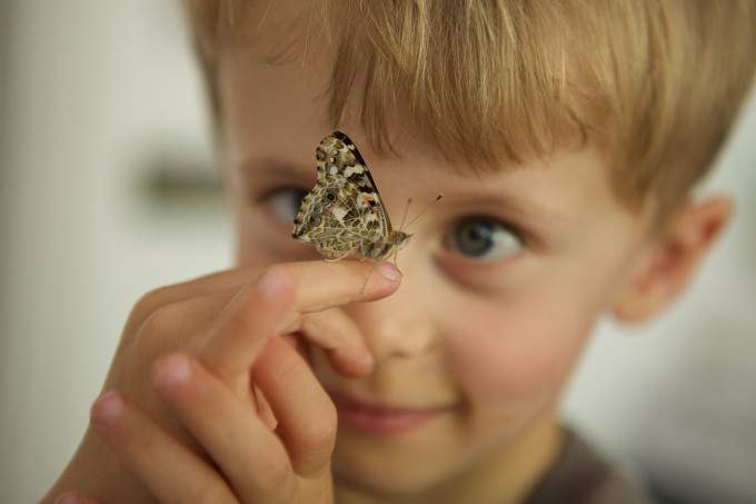 Boy with butterfly: mel@friedbaer.de (Mel)