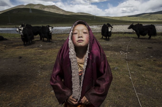 August 5, 2015 in Yushu, China. Tibetan nomads face many challenges to their traditional way of life including political pressures, forced resettlement by China's government, climate change and rapid modernization. The Tibetan Plateau, often called "the Roof of the World," is the world's highest and largest plateau.