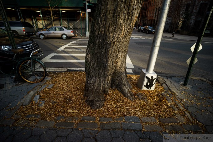 Chris Gampat The Phoblographer Zeiss 18mm f2.8 review sample photos (18 of 37)ISO 1001-400 sec at f - 2.8