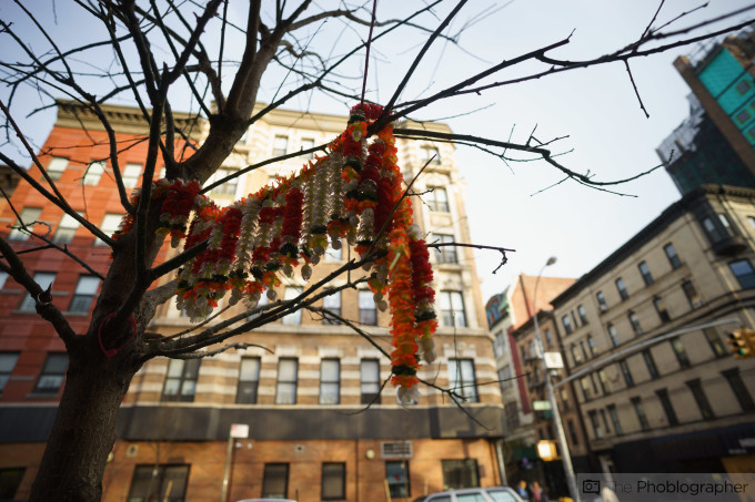 Chris Gampat The Phoblographer Zeiss 18mm f2.8 review sample photos (22 of 37)ISO 1001-250 sec at f - 2.8