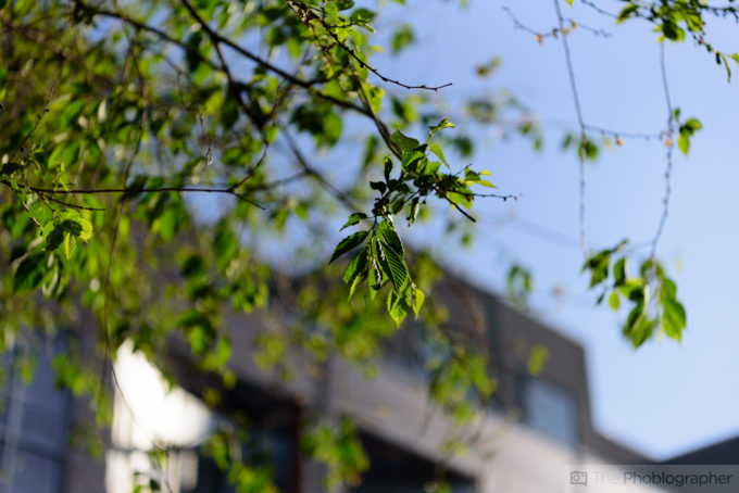 Chris Gampat The Phoblographer Nikon 24-70mm f2.8 G VR sample photos (4 of 42)ISO 1001-4000 sec at f - 2.8