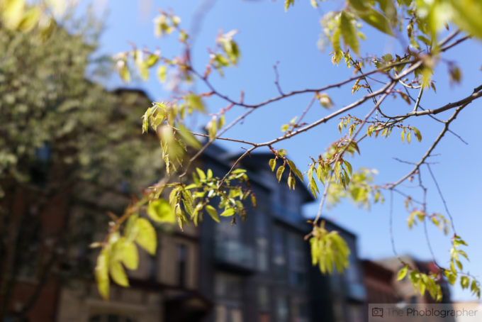 Chris Gampat The Phoblographer Sony Rx1r II sample images (1 of 32)ISO 1001-2000 sec at f - 2.0