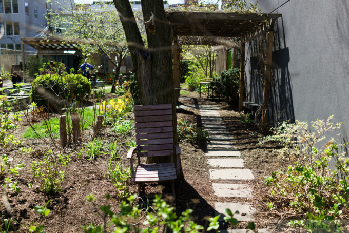 Chris Gampat The Phoblographer Sony Rx1r II sample images (4 of 32)ISO 1001-1250 sec at f - 2.0