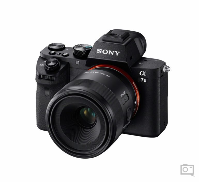 The Phoblographer Sony 50mm f2.8 Macro full frame E mount FE lens (3 of 7)