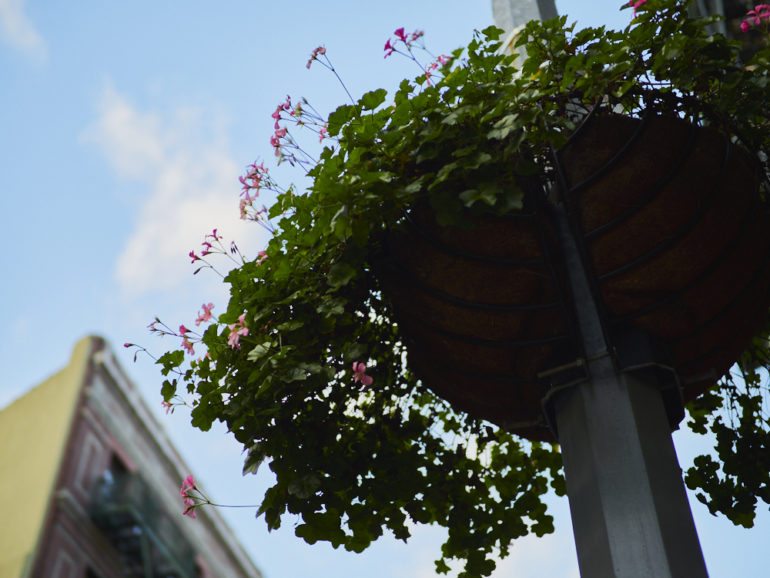 chris-gampat-the-phoblographer-olympus-25mm-f1-2-pro-review-25mm-f1-2-iso-200-1-800s25olympus-corporatione-m1markii-olympus-m-zuiko-digital-ed-25mm-f-1-2-pro-extras