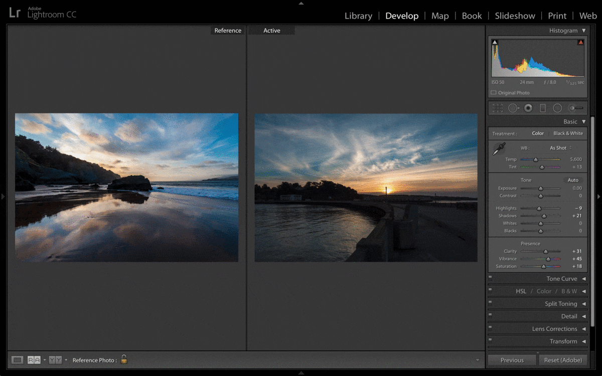 Adobe Updates Lightroom CC, Adds Reference View to the Develop Panel