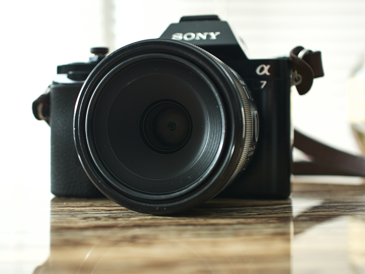 Macro Lens Review: Sony 50mm f2.8 Macro (Sony FE)