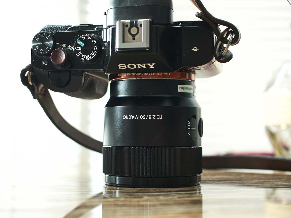 envelop residu Percentage Macro Lens Review: Sony 50mm f2.8 Macro (Sony FE)