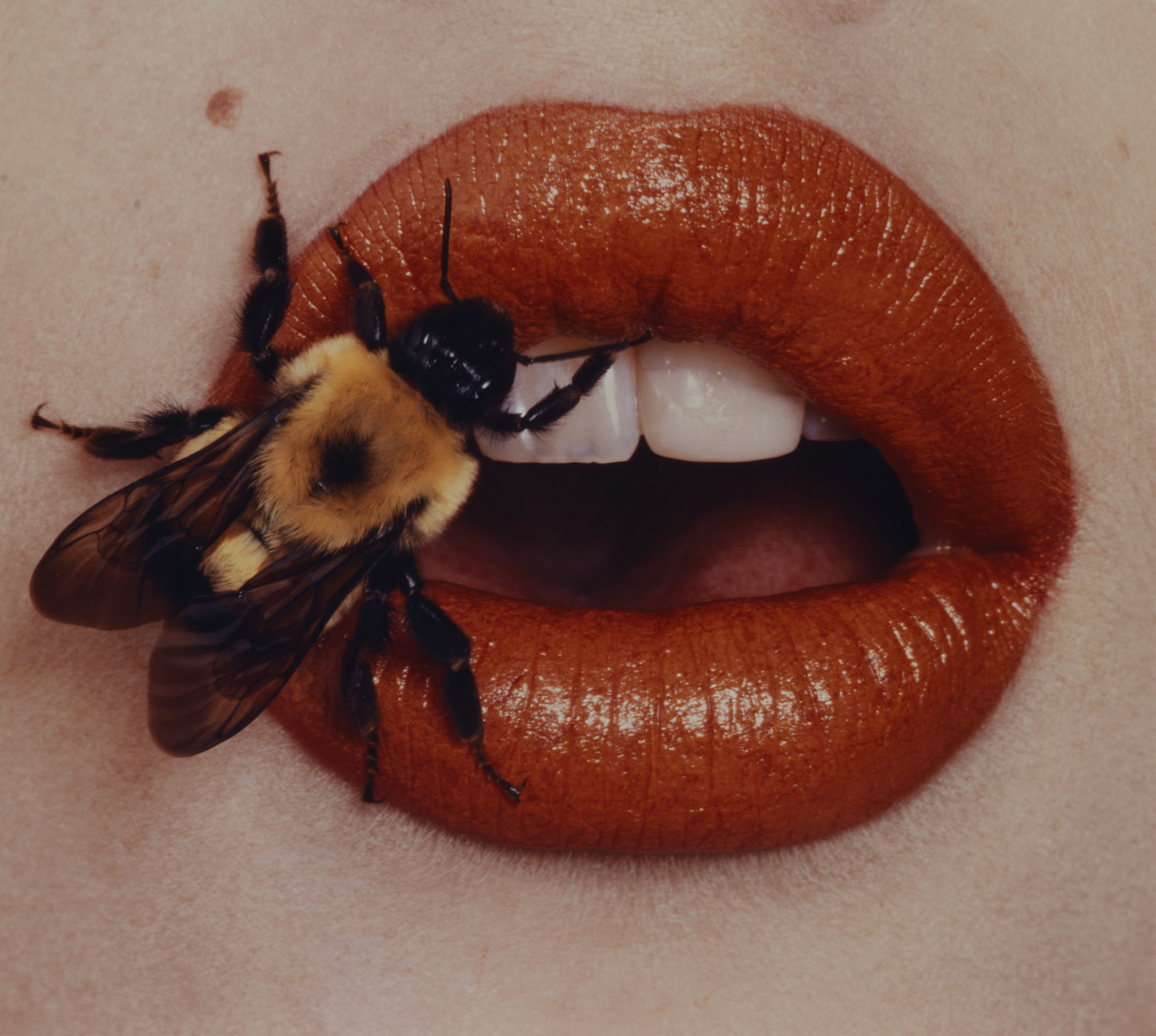 Previously Unseen Photos from Irving Penn to Appear in Retrospective