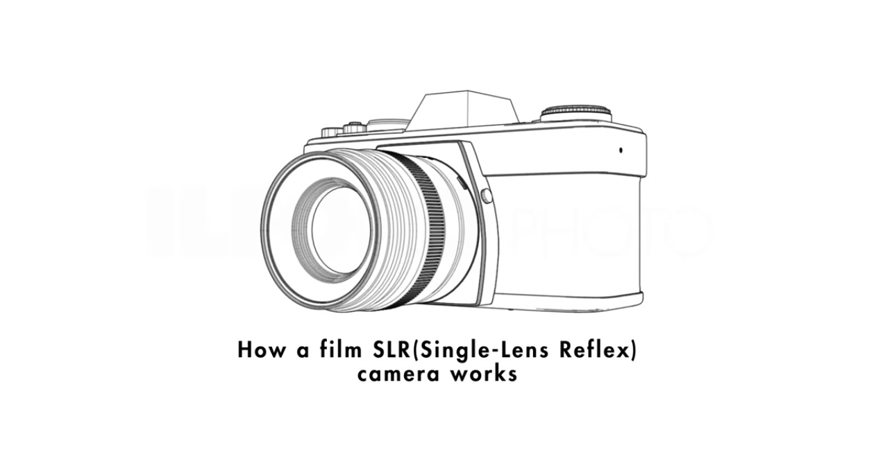 This Super Cool Animation Shows How a Film SLR Camera Works