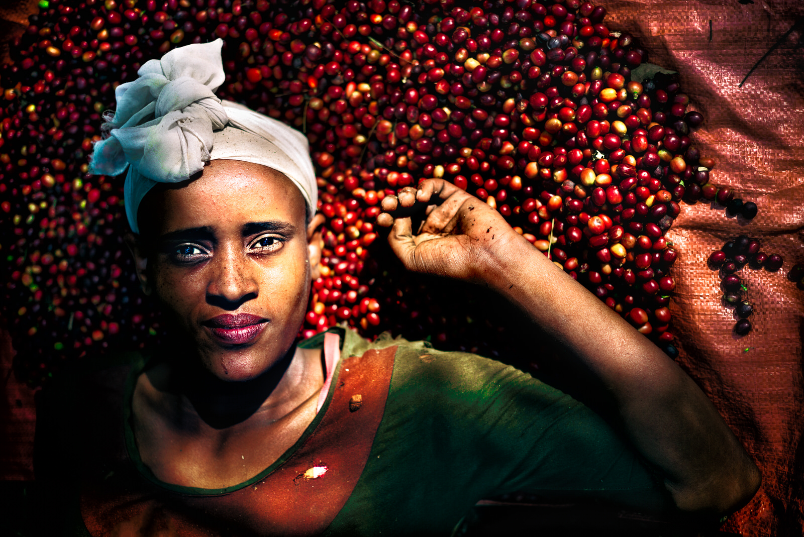 Emily Garthwaite: Coffee Growing from the Yayu Wildforest in Ethiopia