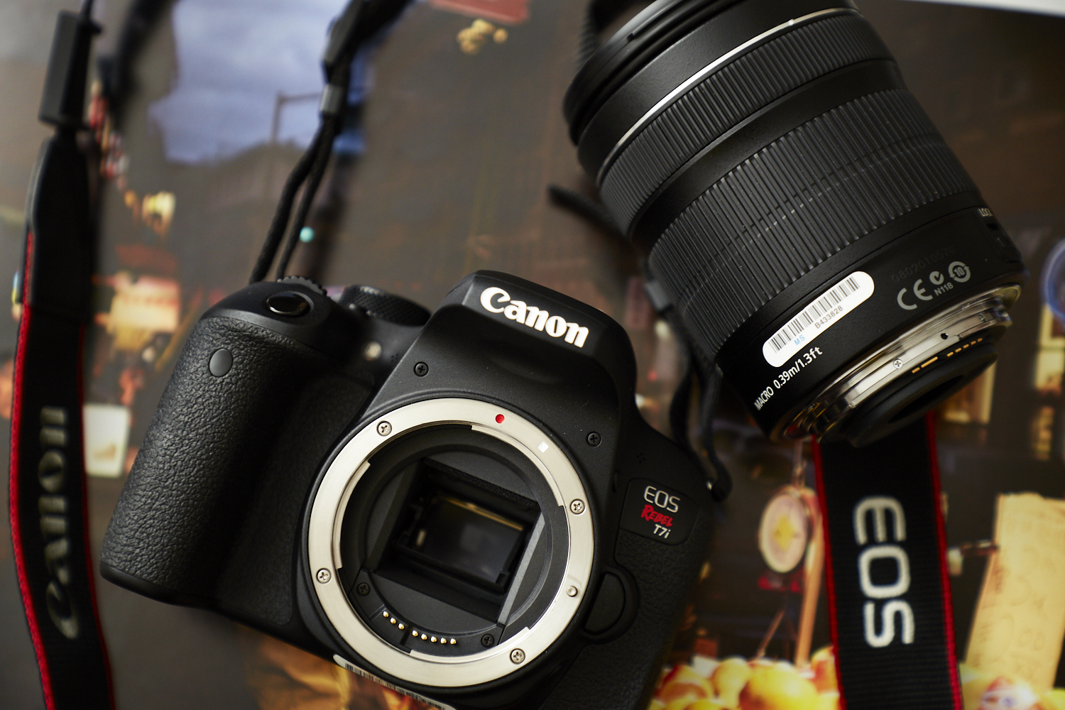 Review: Canon Rebel T7i (Canon's Sort of In The Middle APS-C DSLR)