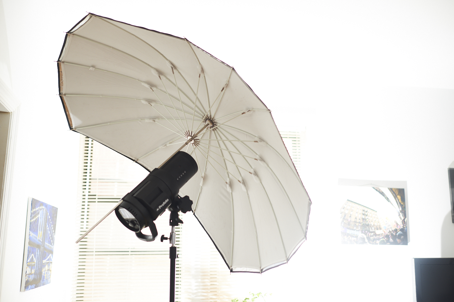 Chris Gampat The Phoblographer Impact ANGLER Parasail Parabolic umbrella review product images 1