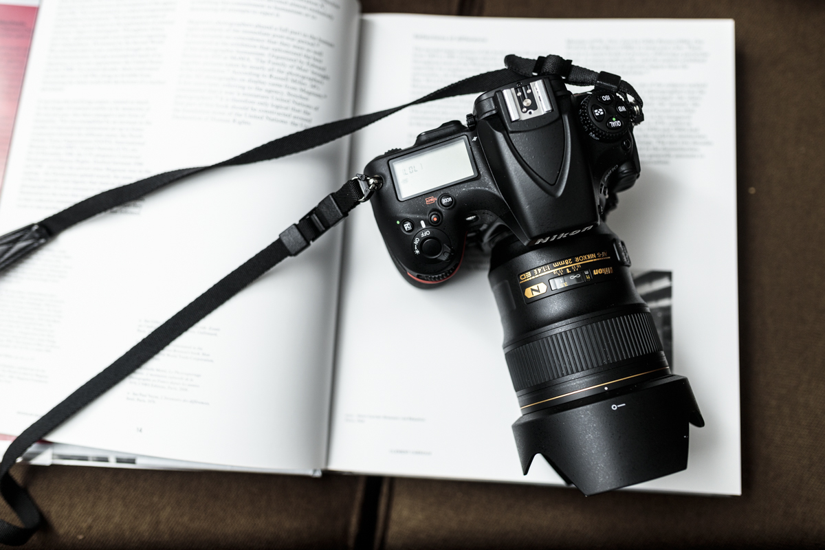 3 Fantastic Lenses to Adapt to Nikon Z Cameras You’ll Love