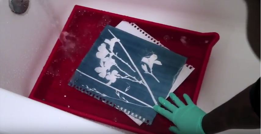 Make Cyanotype Prints at Home with this Easy Tutorial