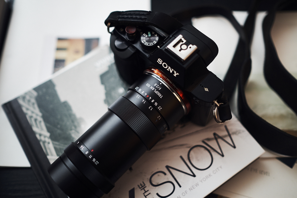 Review: Meyer-Optik Gorlitz Trioplan 100mm f2.8 Lens (Sony E Mount)