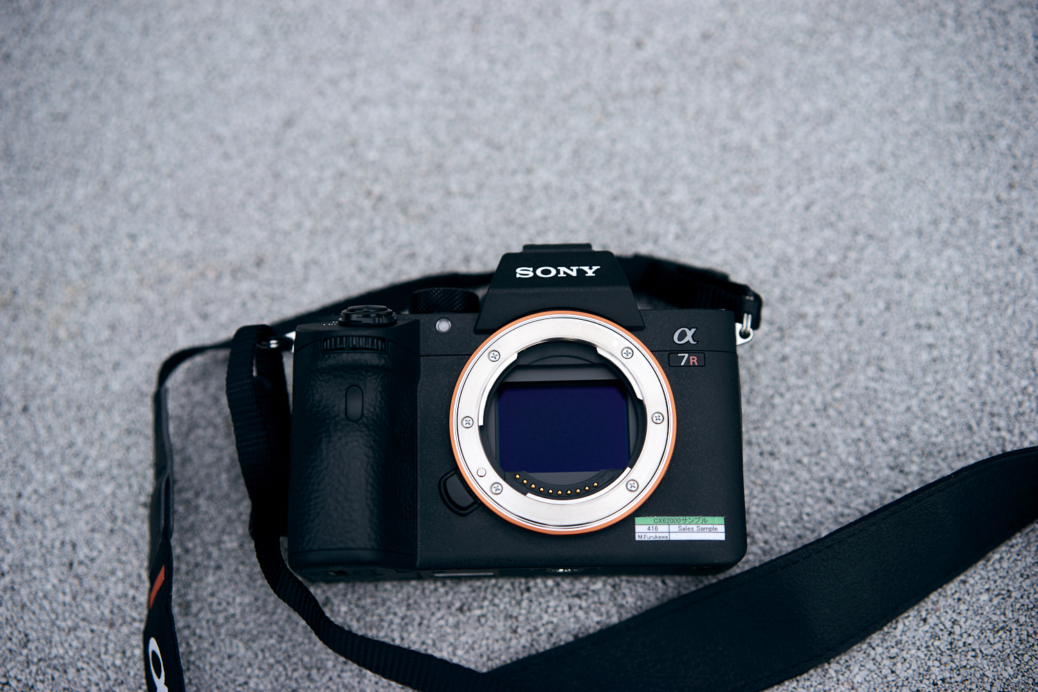 Chris Gampat the Phoblographer Sony a7r III first impressions photos 1
