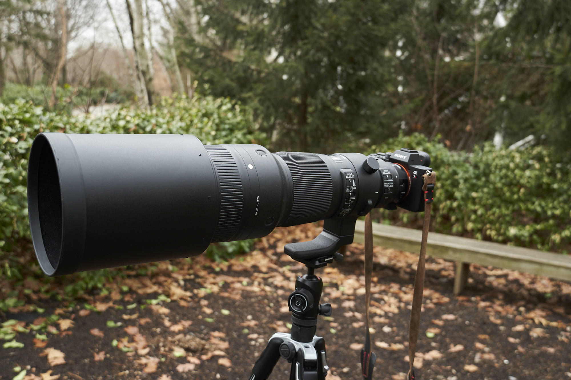 Review: Sigma 500mm f4 DG OS HSM Sports (Canon EF Mount, Adapted to Sony FE)