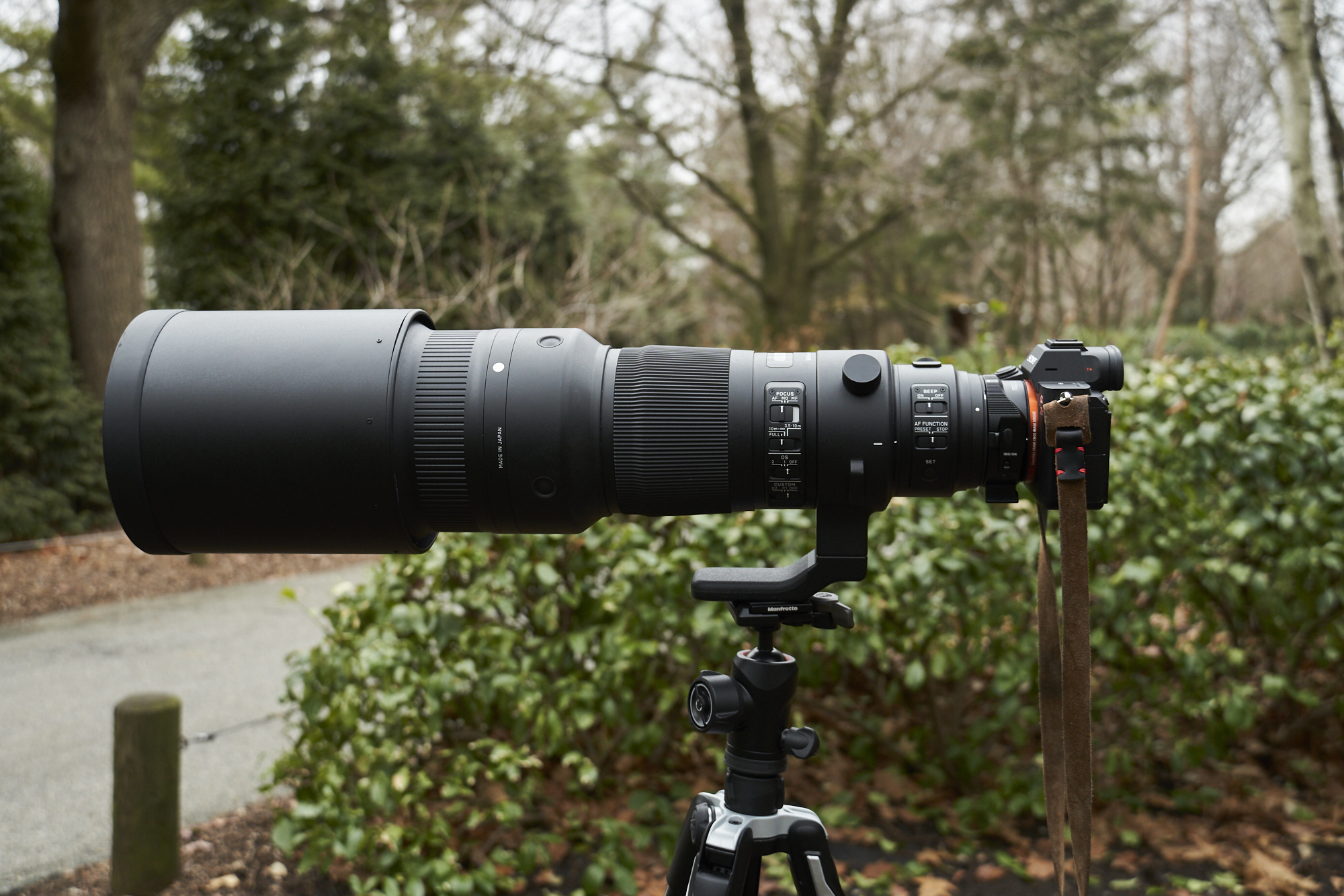 Review: Sigma 500mm f4 DG OS HSM Sports (Canon EF Mount)