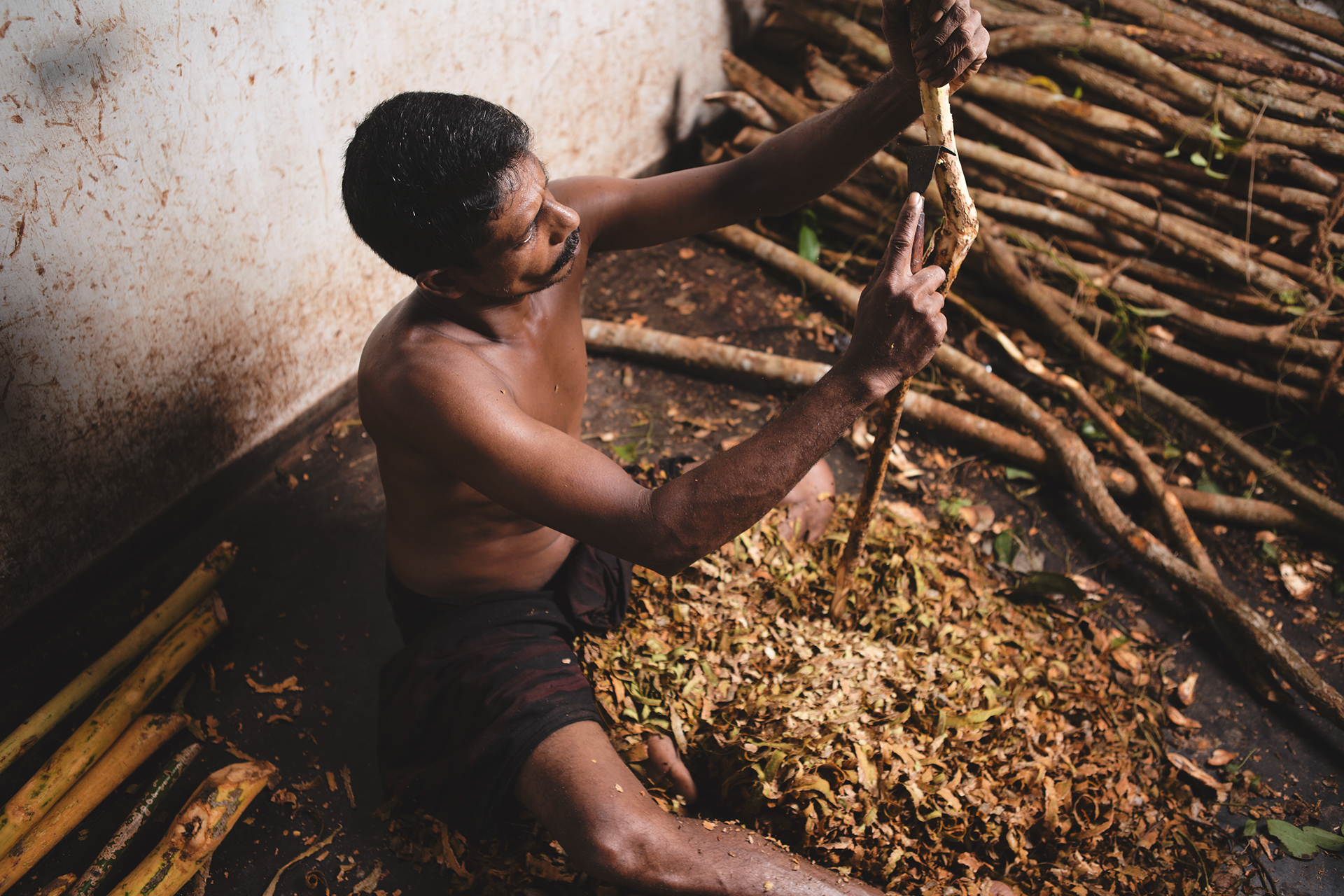 Giacomo Bruno’s Documentary Photography of the Cinnamon Harvest in Sri Lanka