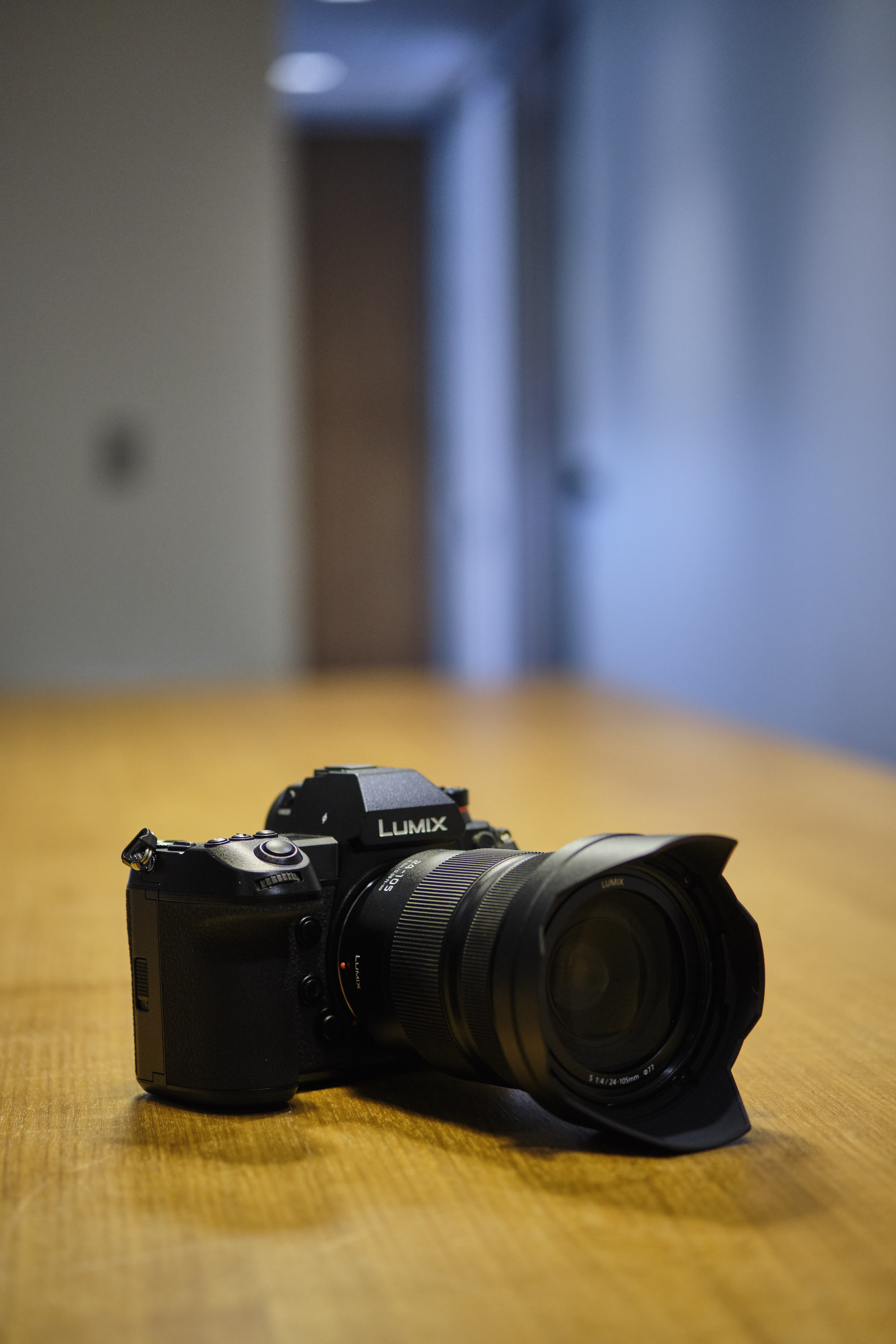 First Impressions: Panasonic S1 (Should Sony Be Scared?)