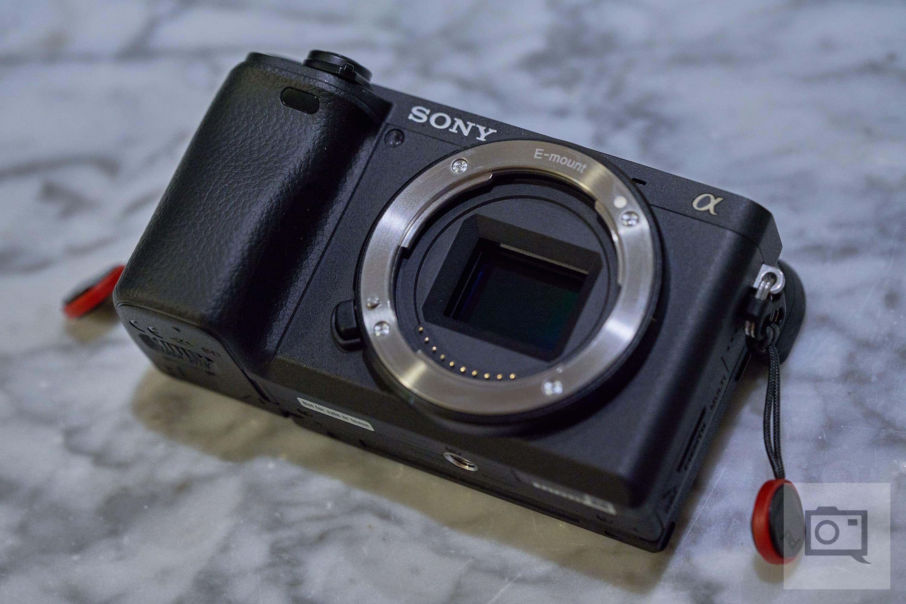 Your First Real Camera: 6 Excellent APS-C Cameras Under $1000