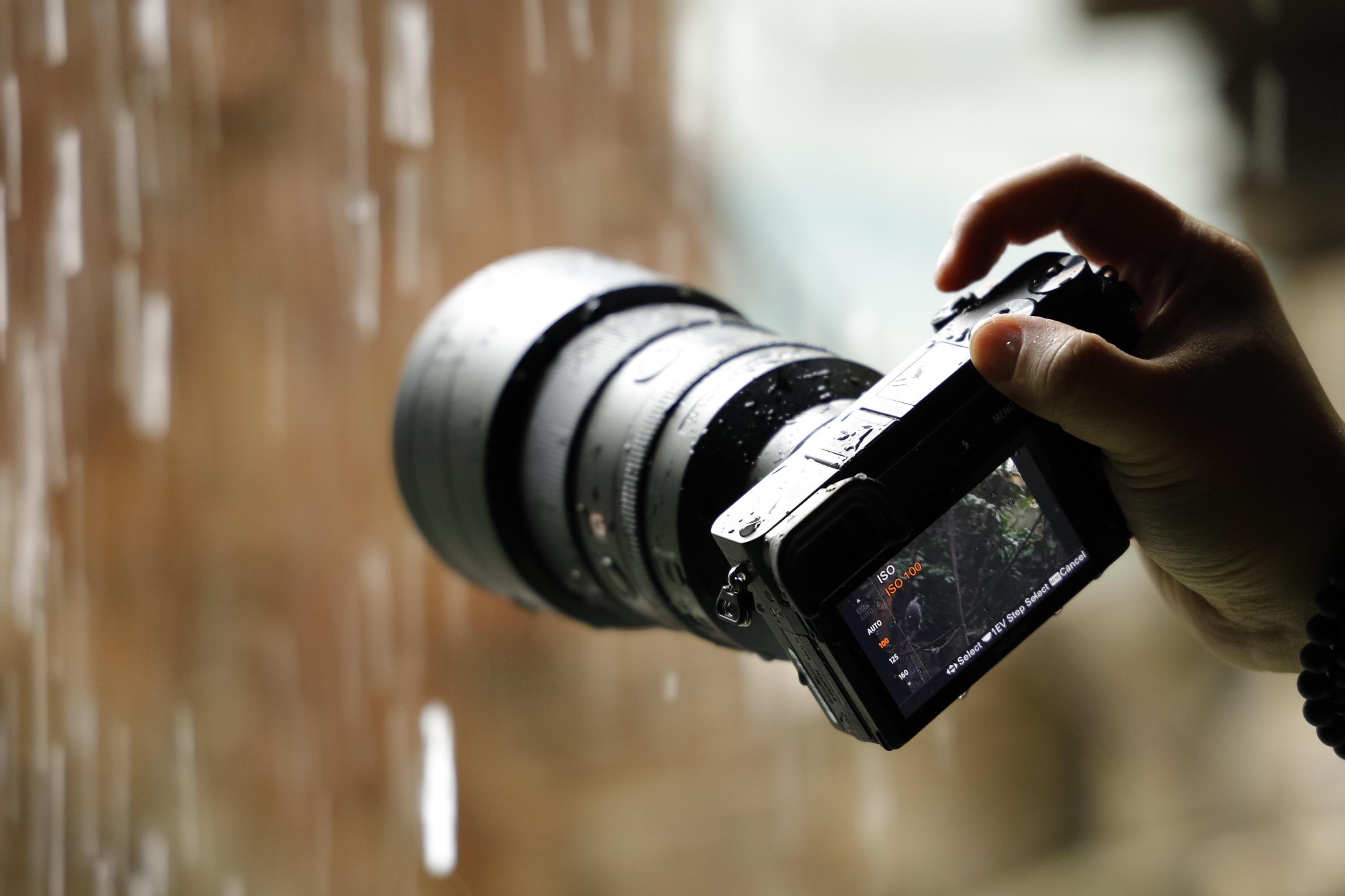 Weather Tested: The Best Sony Cameras to Use in the Rain or Snow