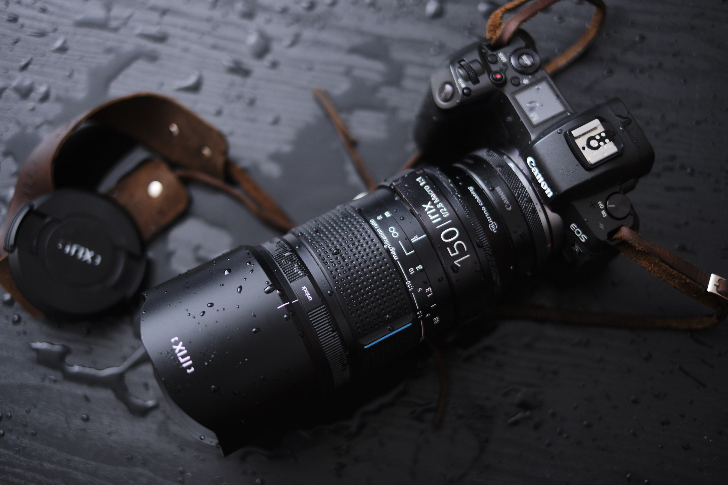 4 Macro Photography Lenses That Will Help You See the World Differently