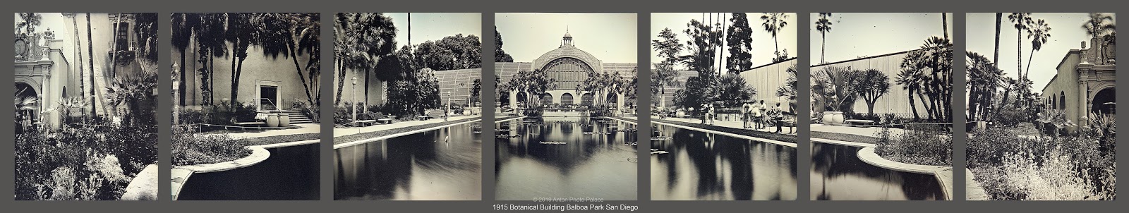 San_Diego_Balboa_Park_Botanical_Building_7plate_4x5_Daguerreotype_Antorama_Anton_Photo_Palace_Web
