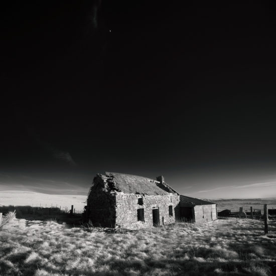 Andy Lee Showcases Beauty in Decay in His 