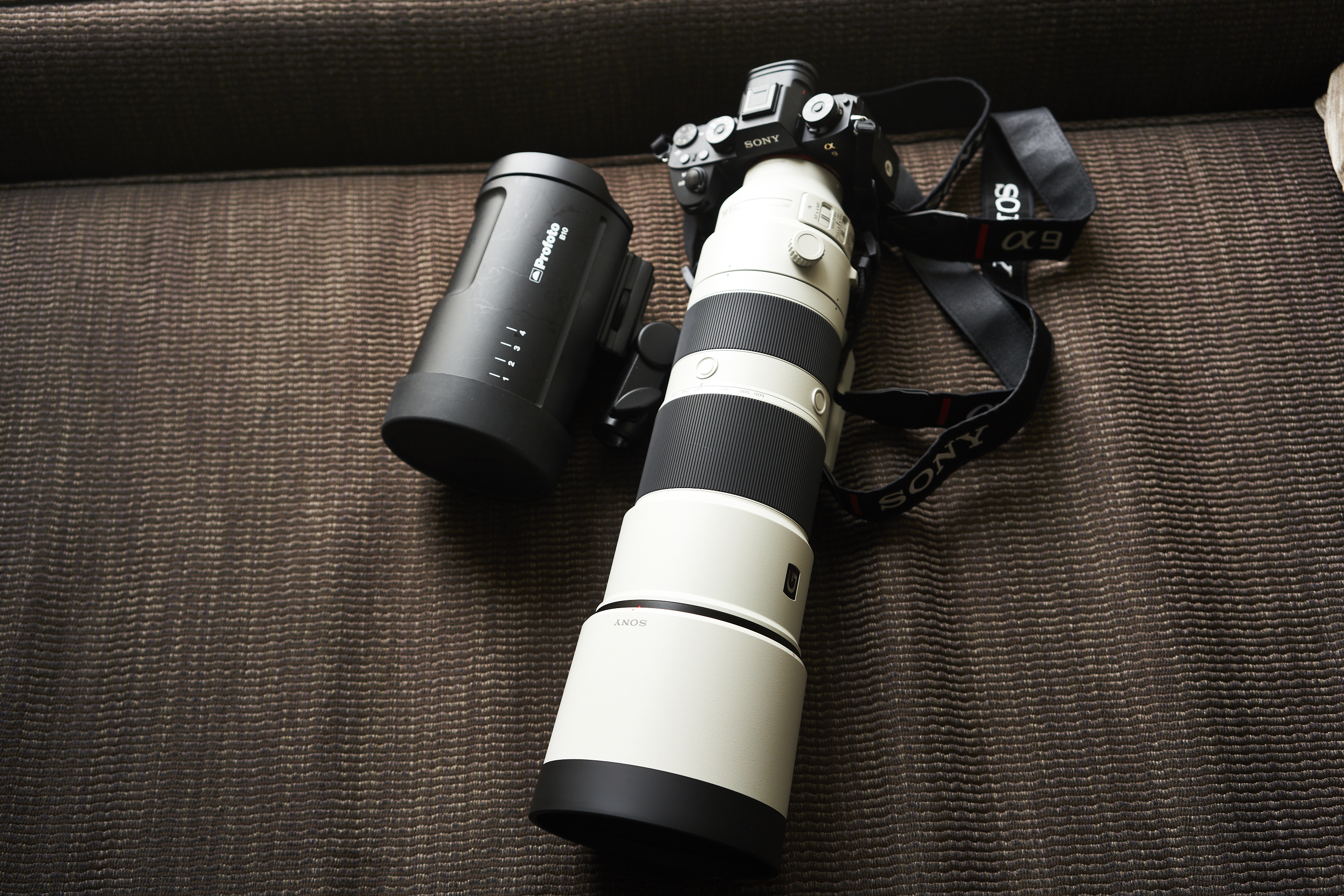 Chris Gampat The Phoblographer Sony 200-600mm f5.6-6.3 G OSS product images 5