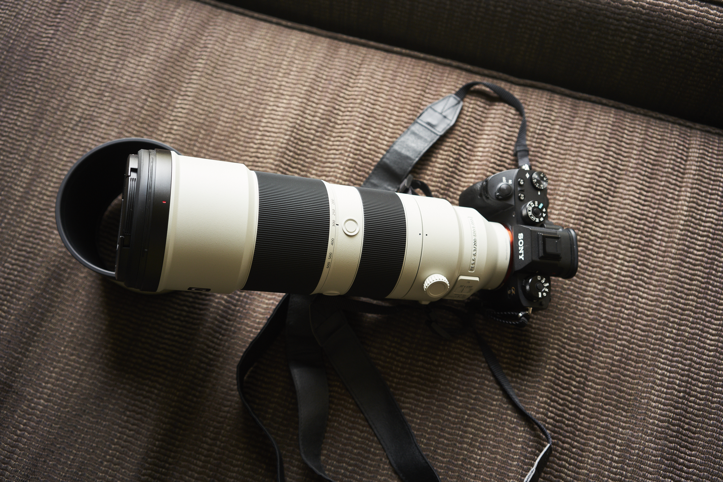 Best Wildlife Lens? - The Sony 200-600 mm FE OSS Lens 