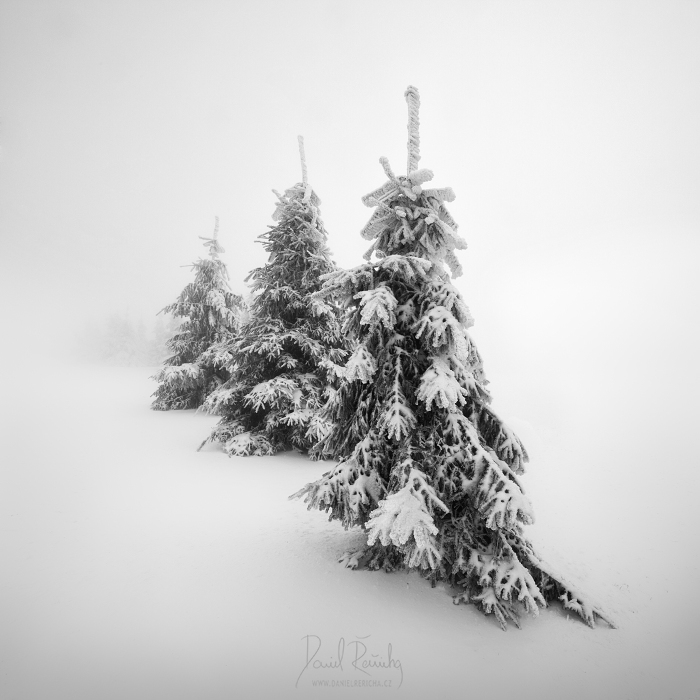 Daniel Řeřicha Takes Us to a Winter Wonderland in Black and White