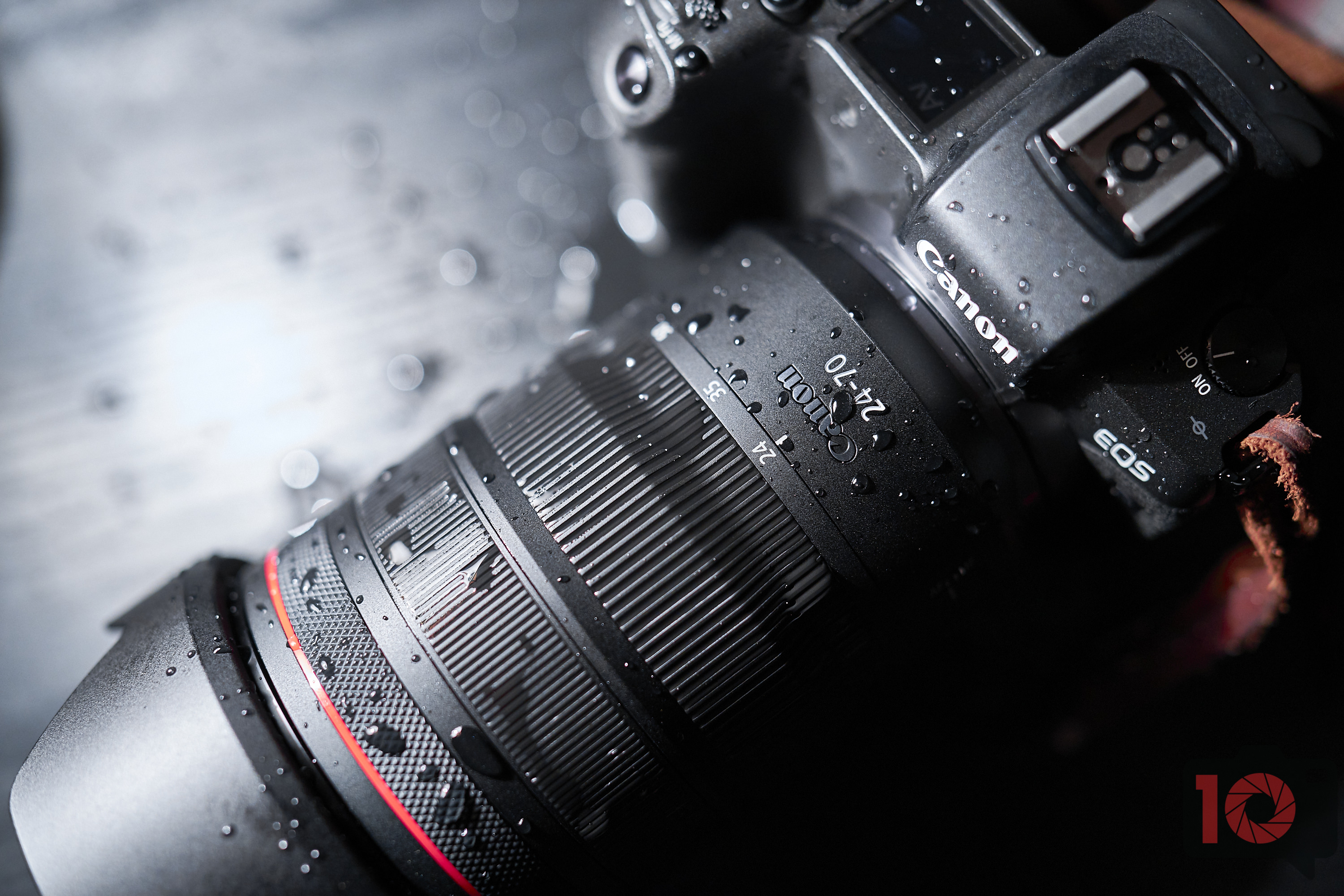 Review: Canon RF 24-70mm f2.8 L IS USM (This Lens Will Grow on You)