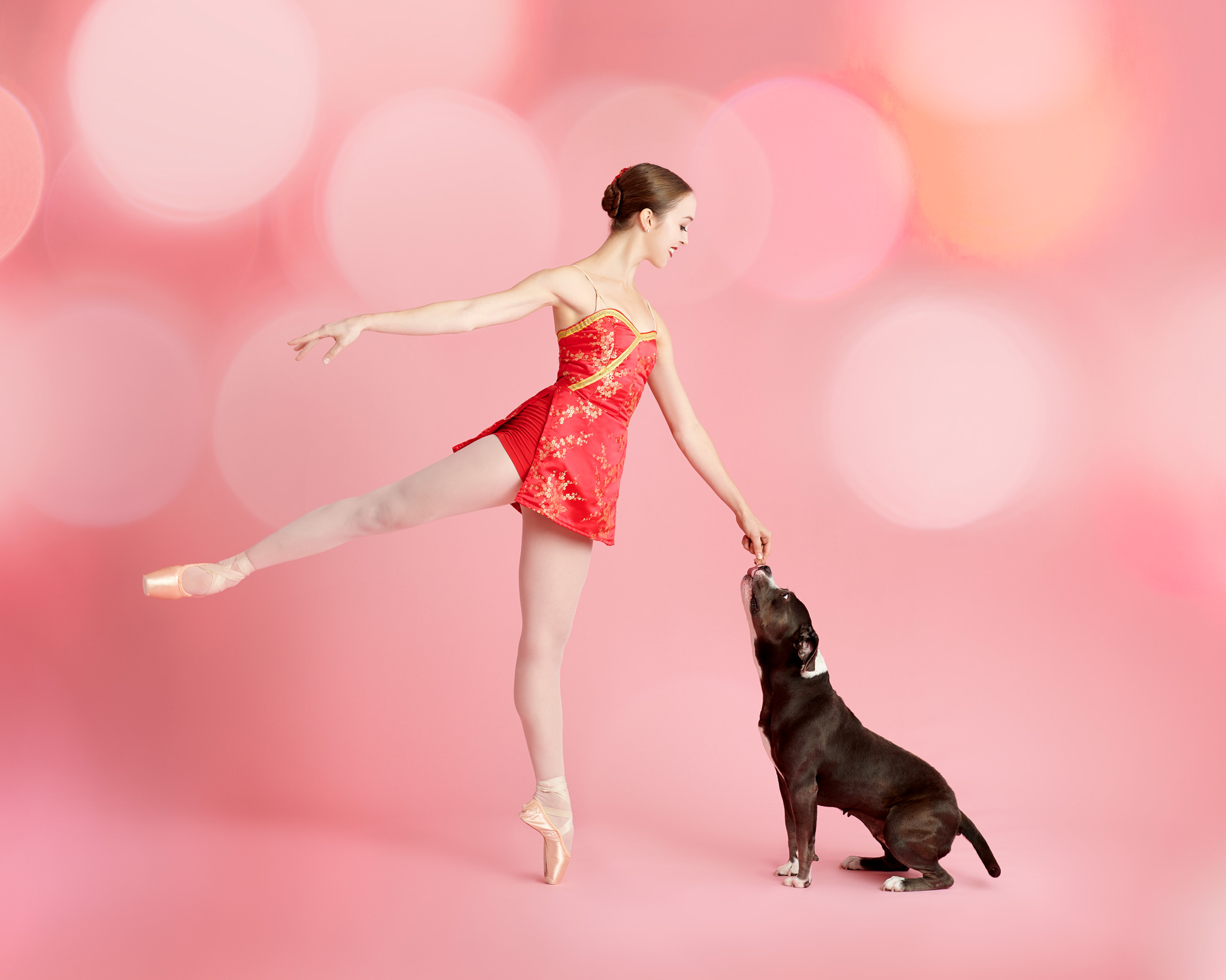 “Muttcracker” Portraits Star Adorable Shelter Pets Alongside Ballerinas