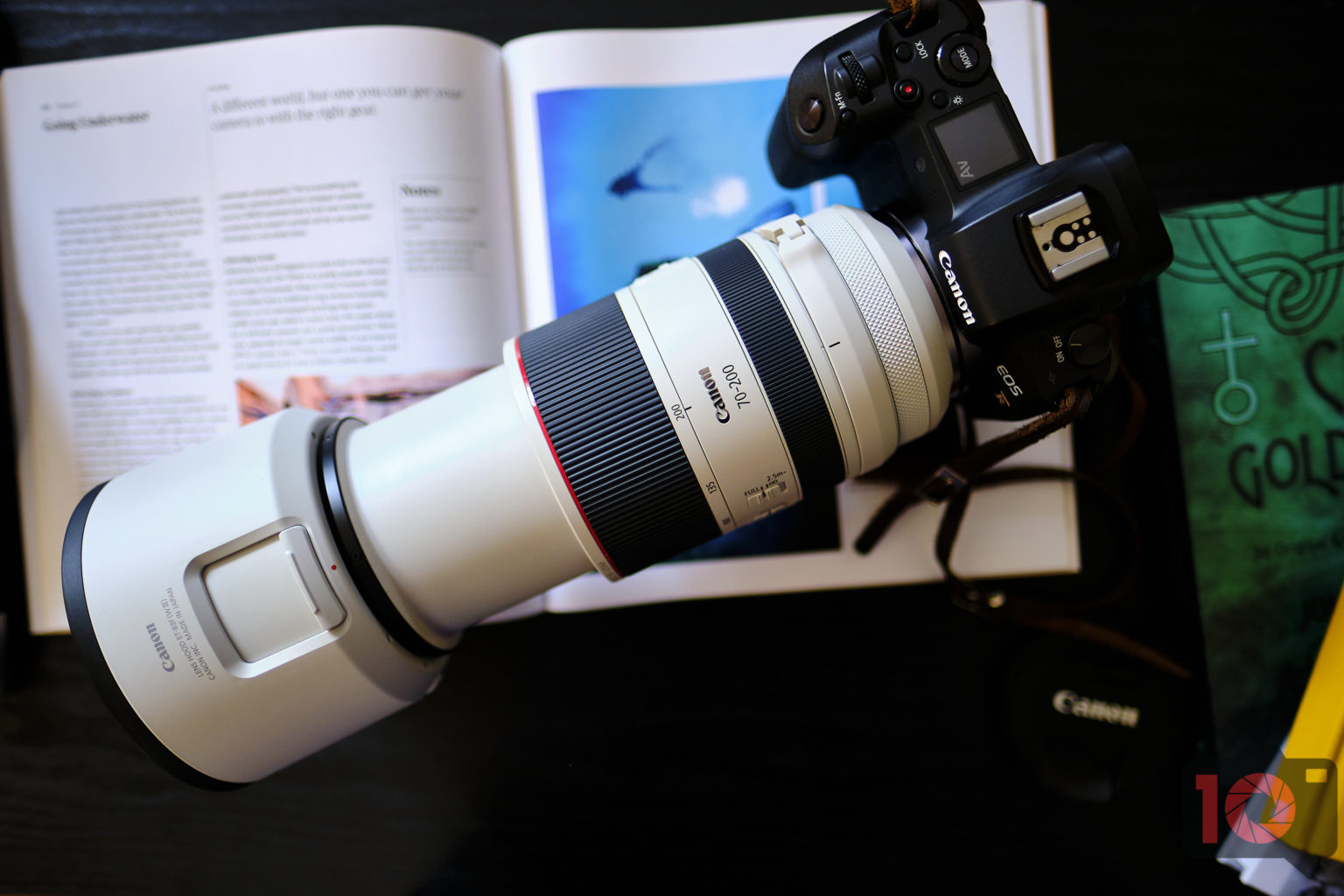 Review: Canon RF 70-200mm f2.8 L IS USM (A Work of Art)