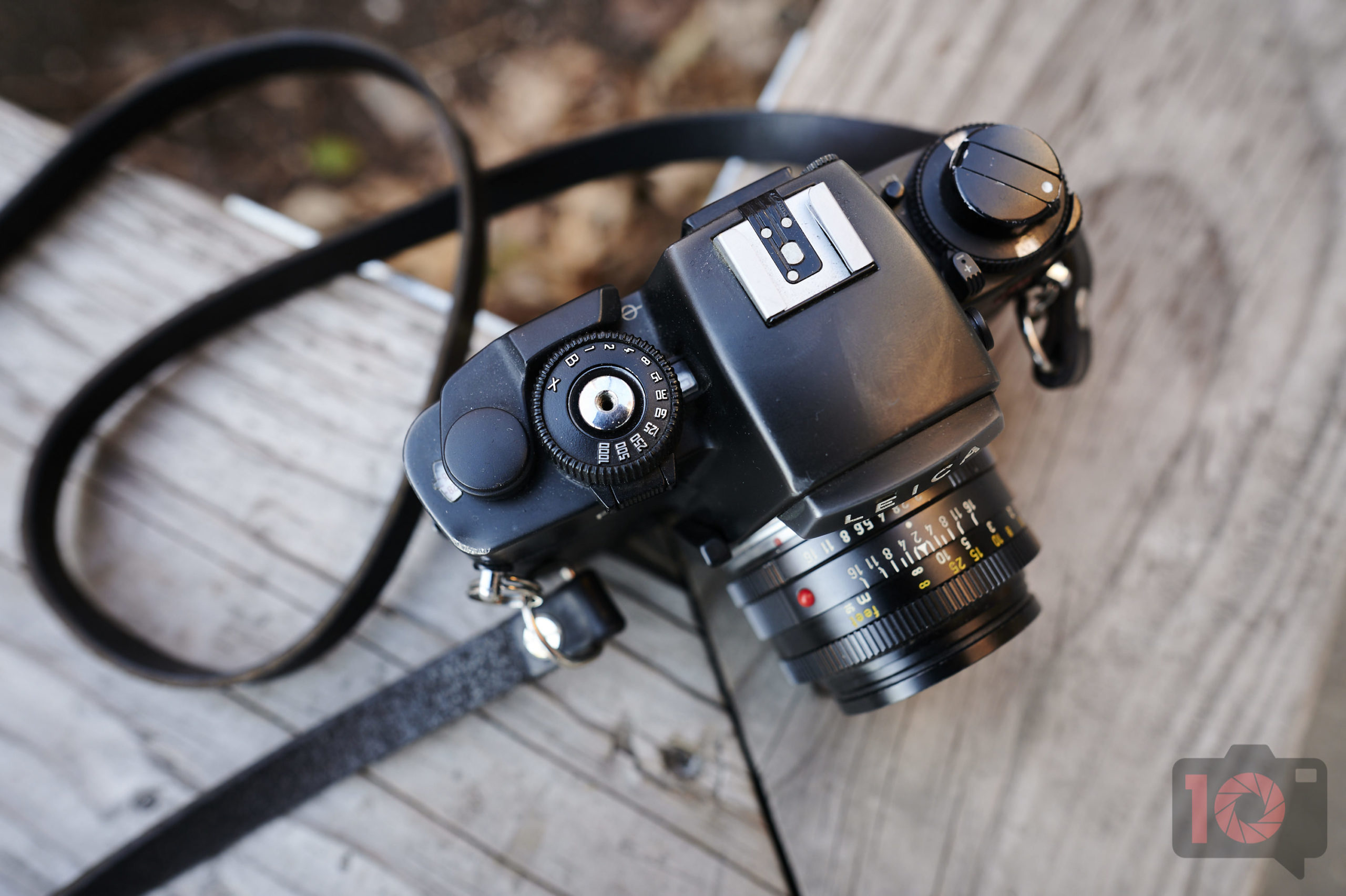 Vintage Camera Review: Leica R6 (Cheap Leica, Pricey Lenses)