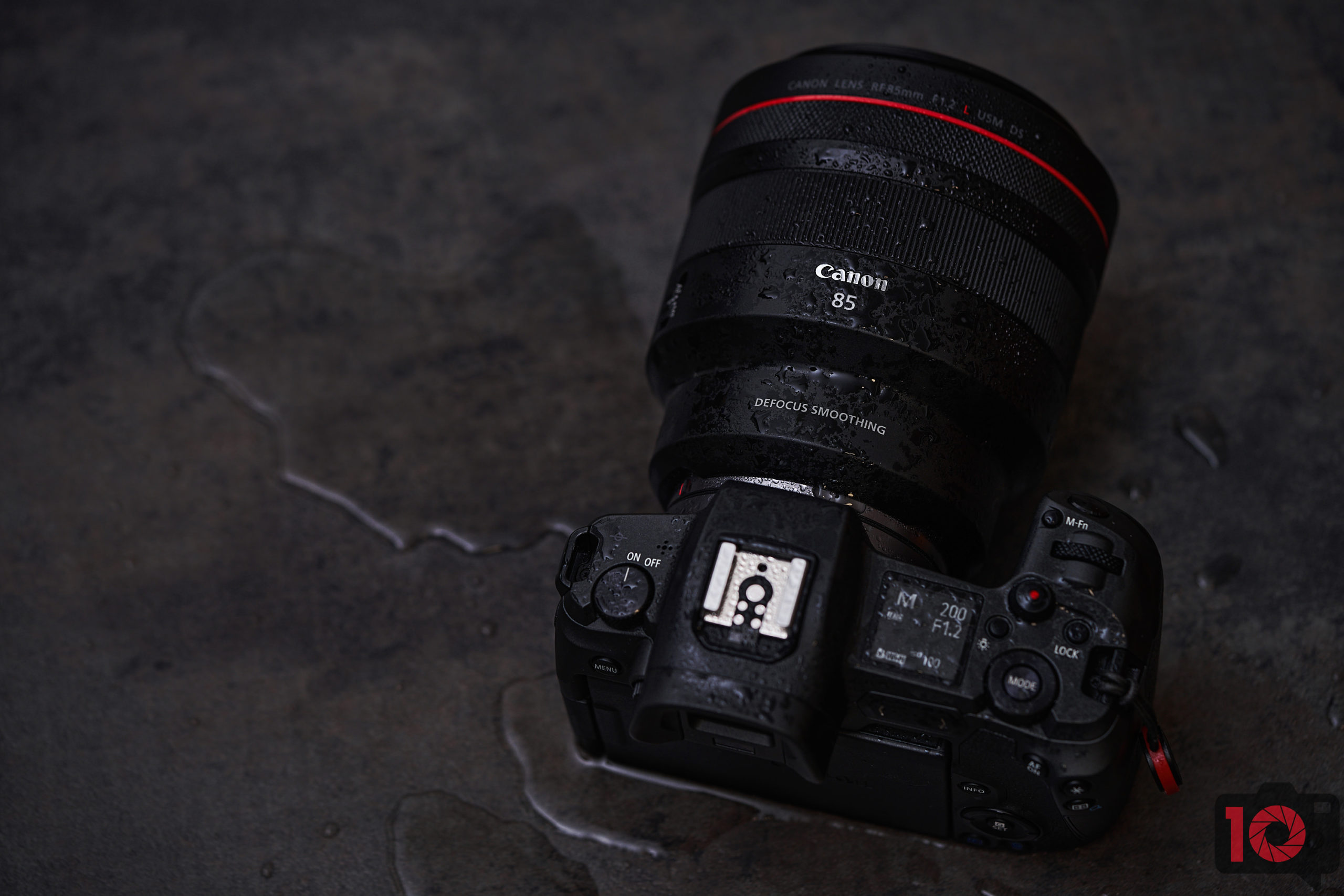 Bokeh for Days! The Canon RF 85mm F1.2 L USM DS Review