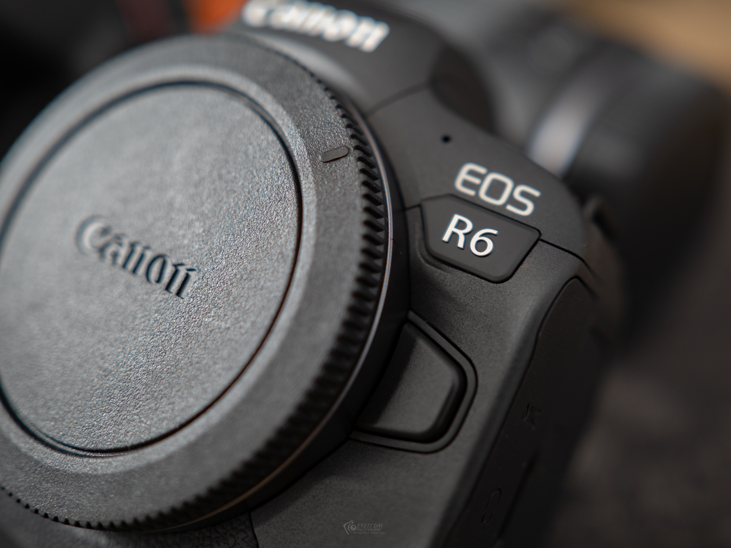 The R6 Could Be a Sleeper Camera: Canon EOS R6 First Impressions