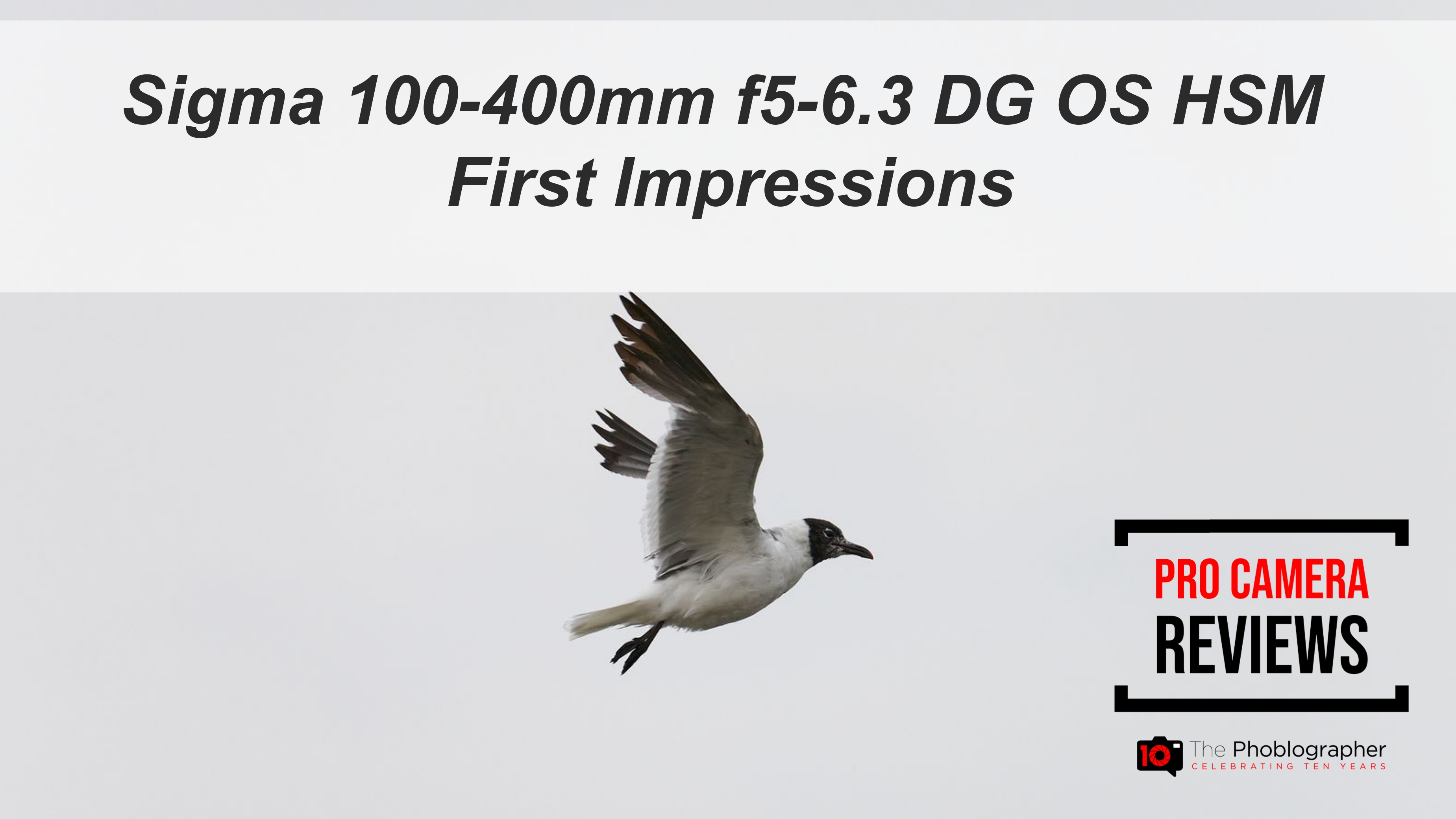 Sigma-100-400mm-f5-6.3-DG-OS-HSM-First-Impressions (1)