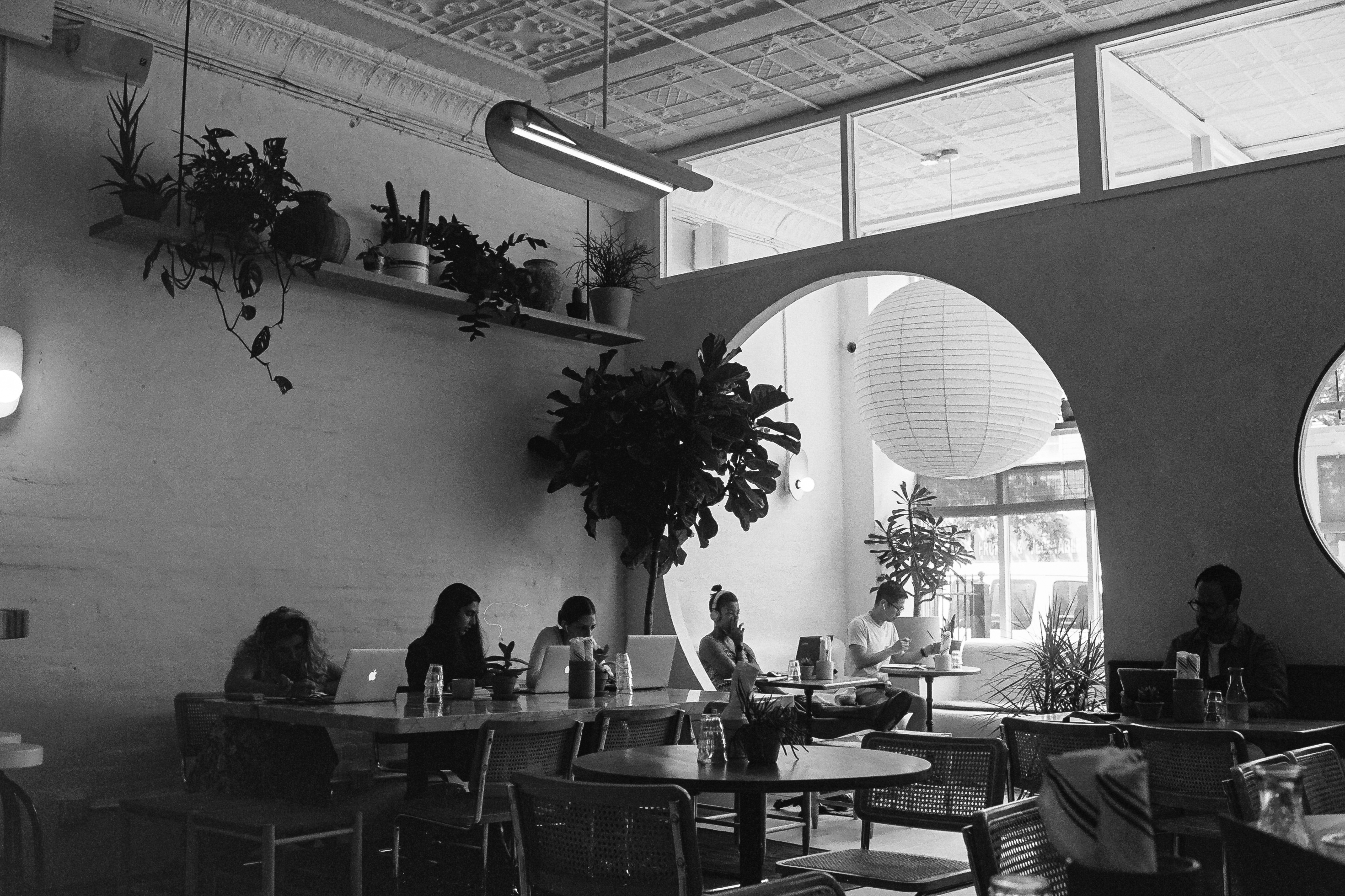 Chris Gampat The Phoblographer Hexar AF Kodak TMax 4001