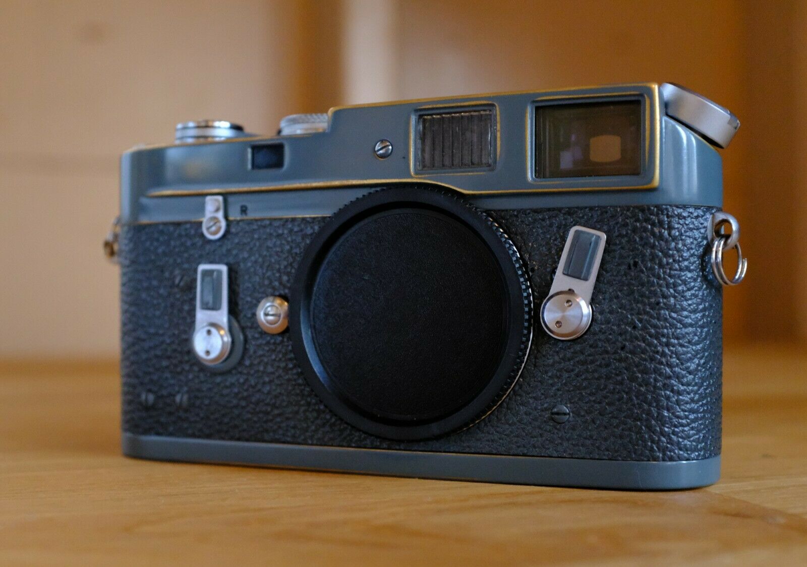 Leica M4 in Gray5