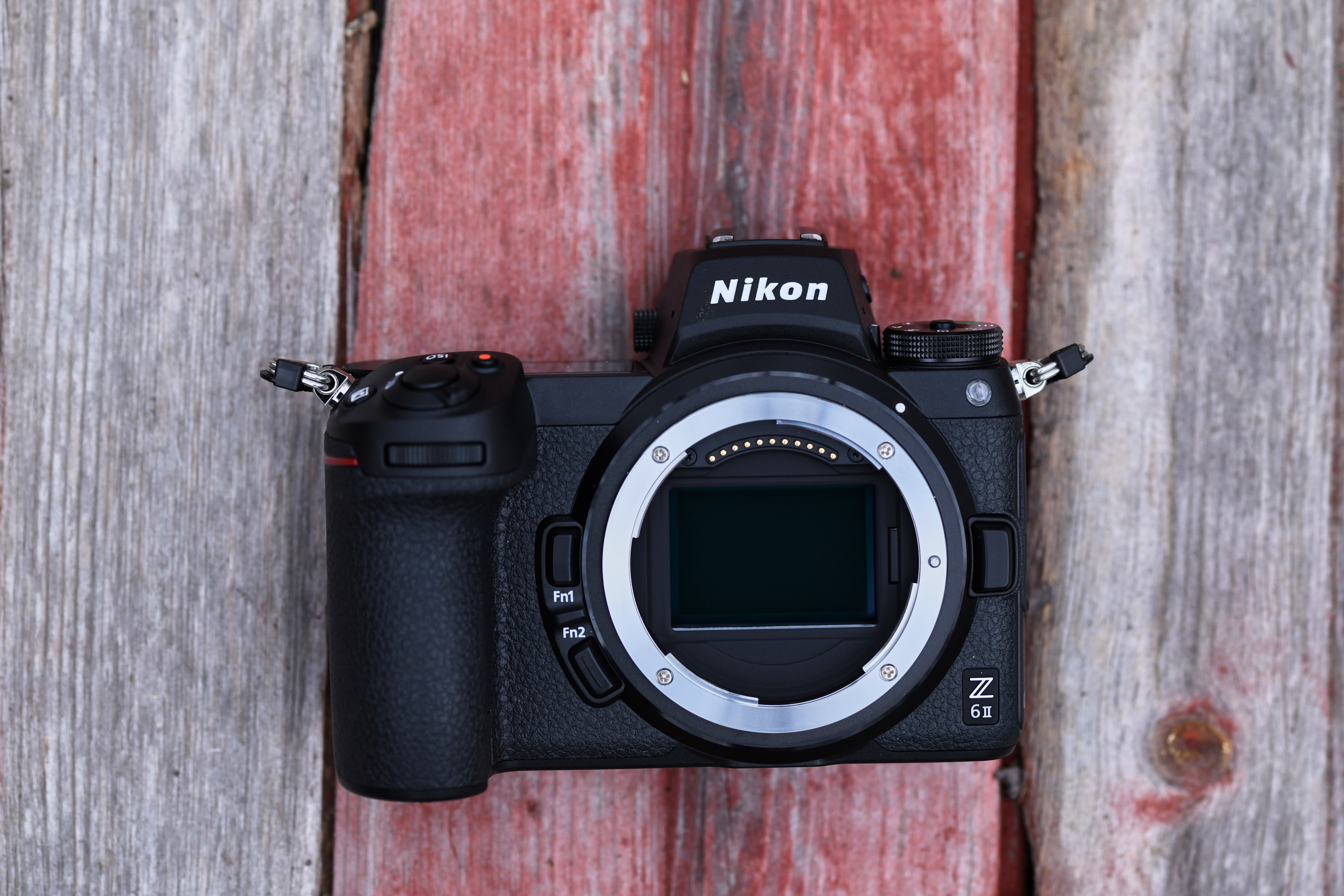 HIllary Grigonis The Phoblographer Nikon Z6 II review HKG_2924