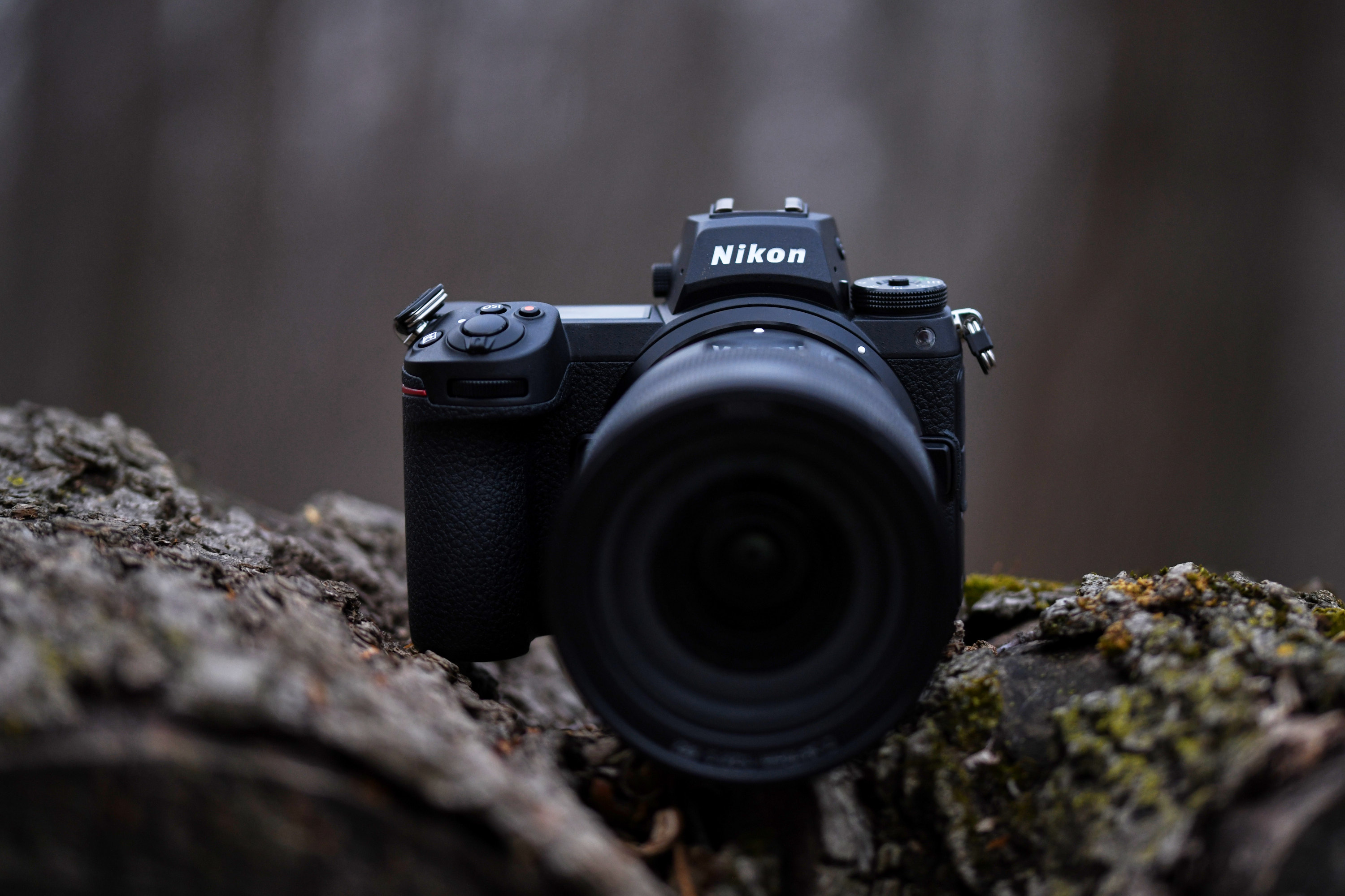 Get acquainted A good friend Misery It's Improved! But It's Still Not Perfect: Nikon Z6 II Review