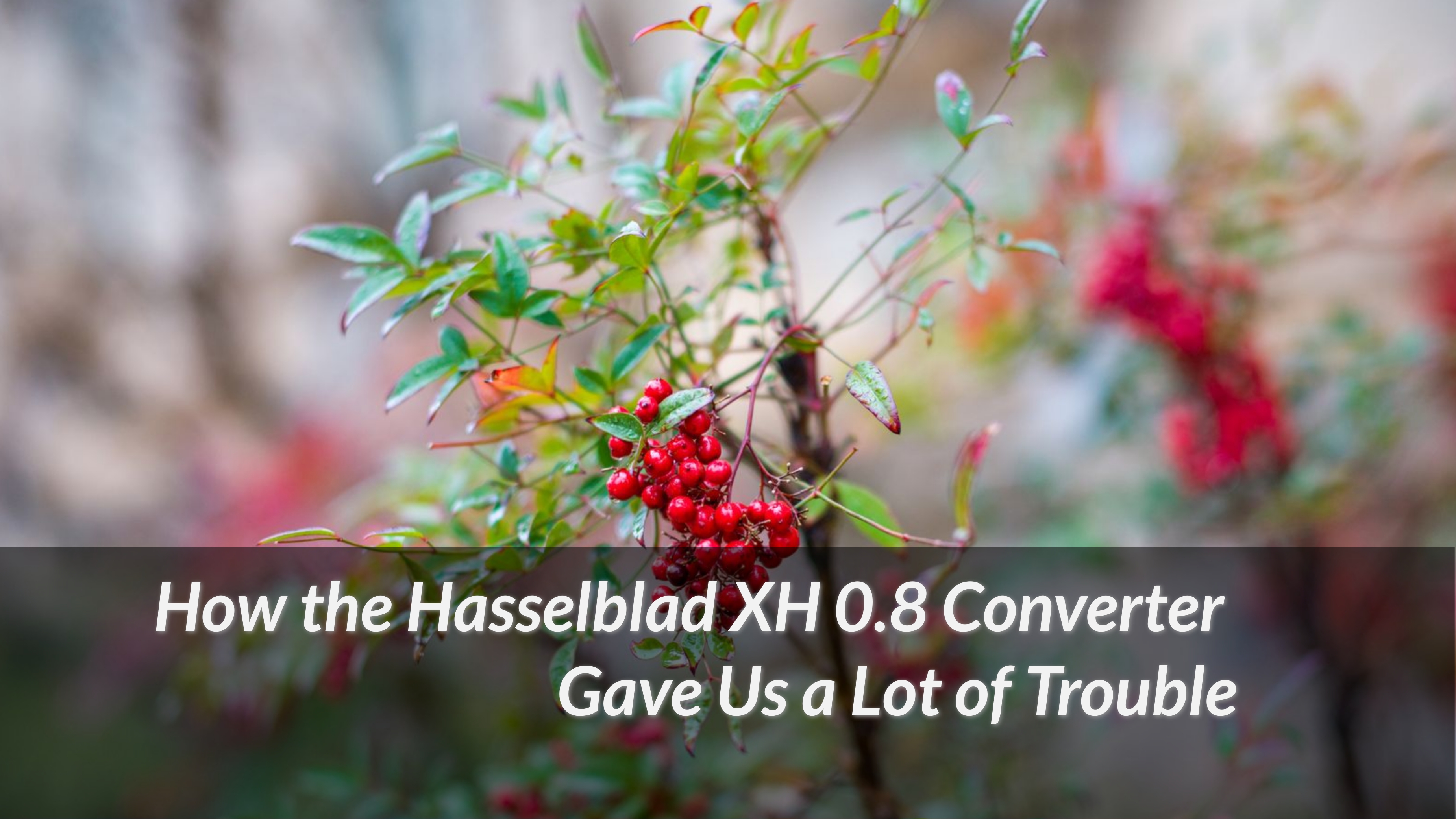 How-the-Hasselblad-XH-0.8-Converter-Gave-Us-a-Lot-of-Trouble-2