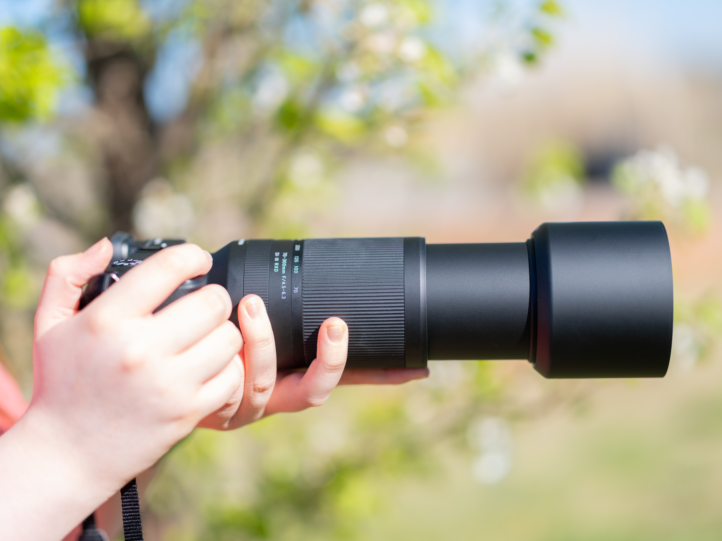 Want a Super Affordable Lens for Your Sony Camera?