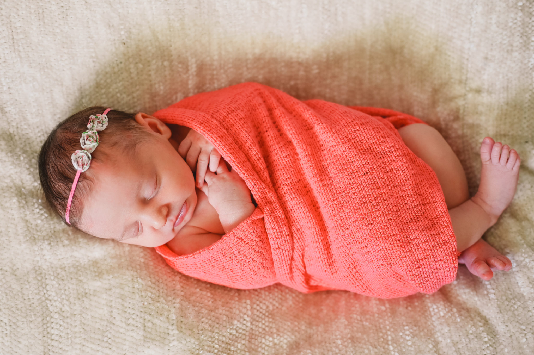 The Best Nikon Z Lenses for Portrait Photography