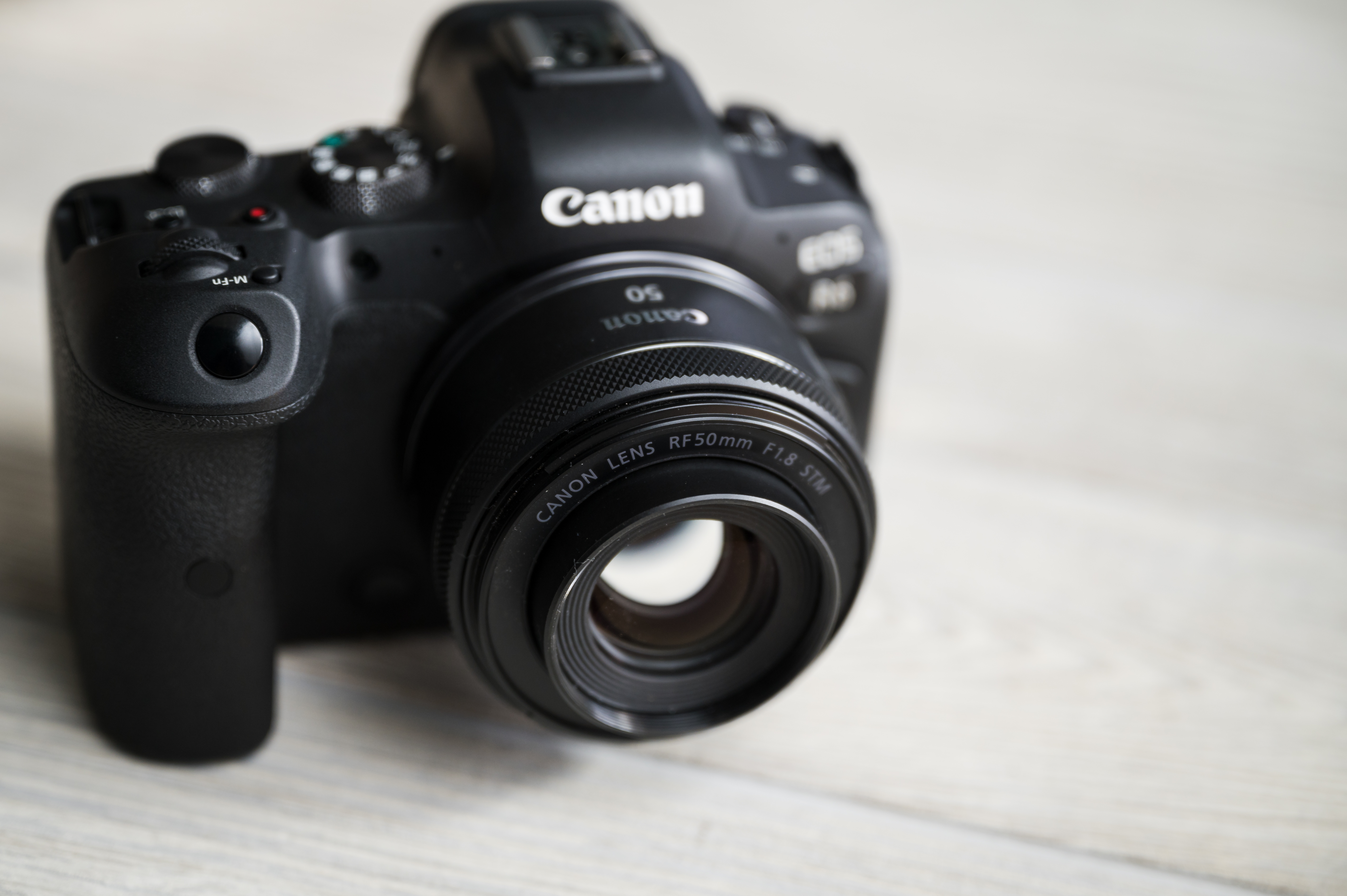 The Best Canon RF Lenses Under $500 You’re Bound to Love
