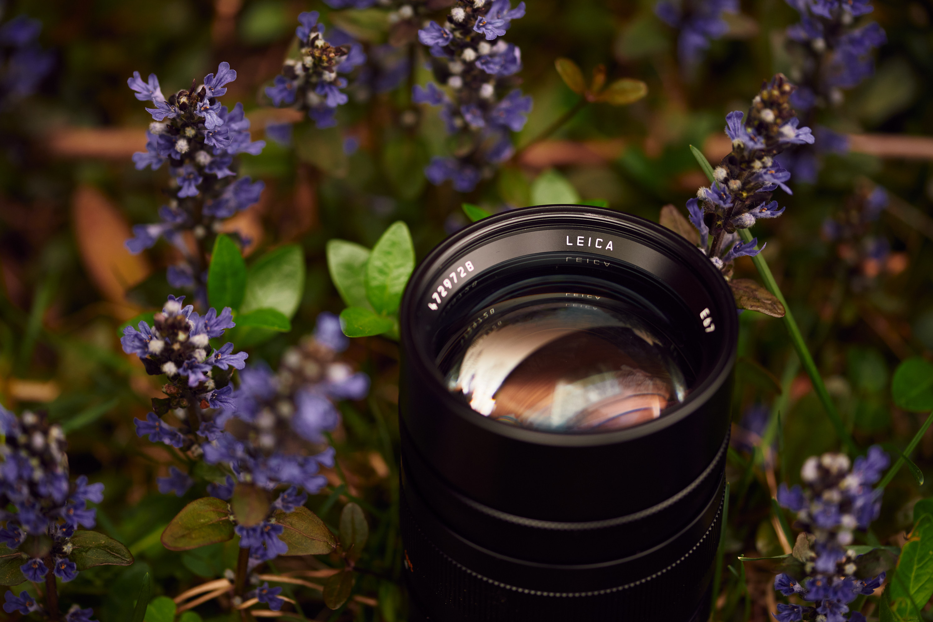 Challenging, but a Worthy Slice of Focus: Leica 90mm F1.5 Summilux ASPH